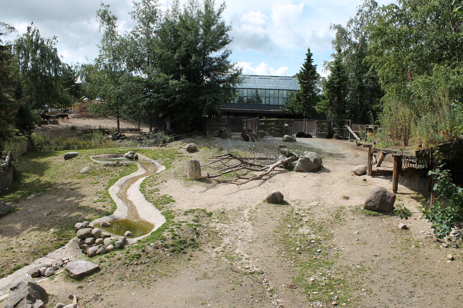 Musk Ox Enclosure
