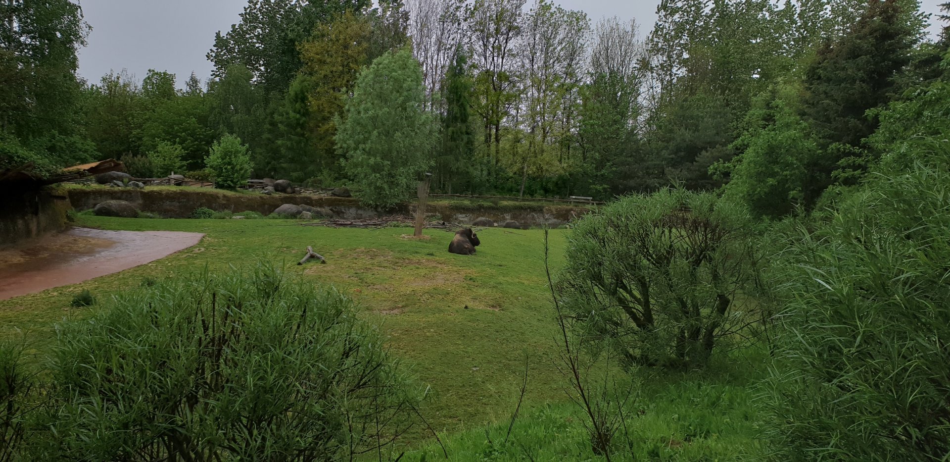 Musk-ox enclosure
