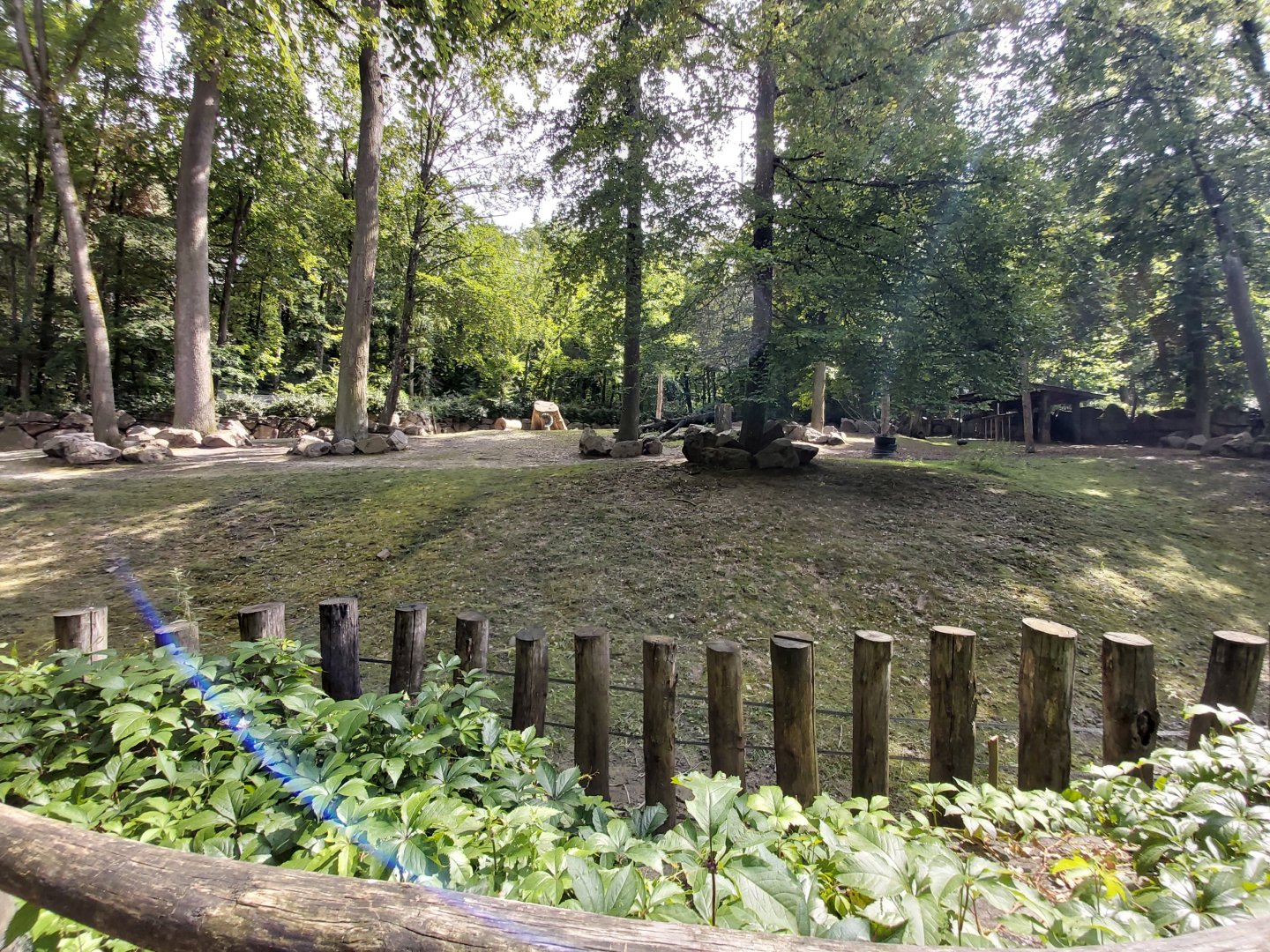 Musk ox enclosure