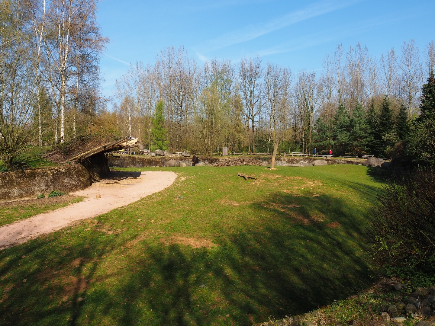 Musk ox exhibit, 2019-03-30