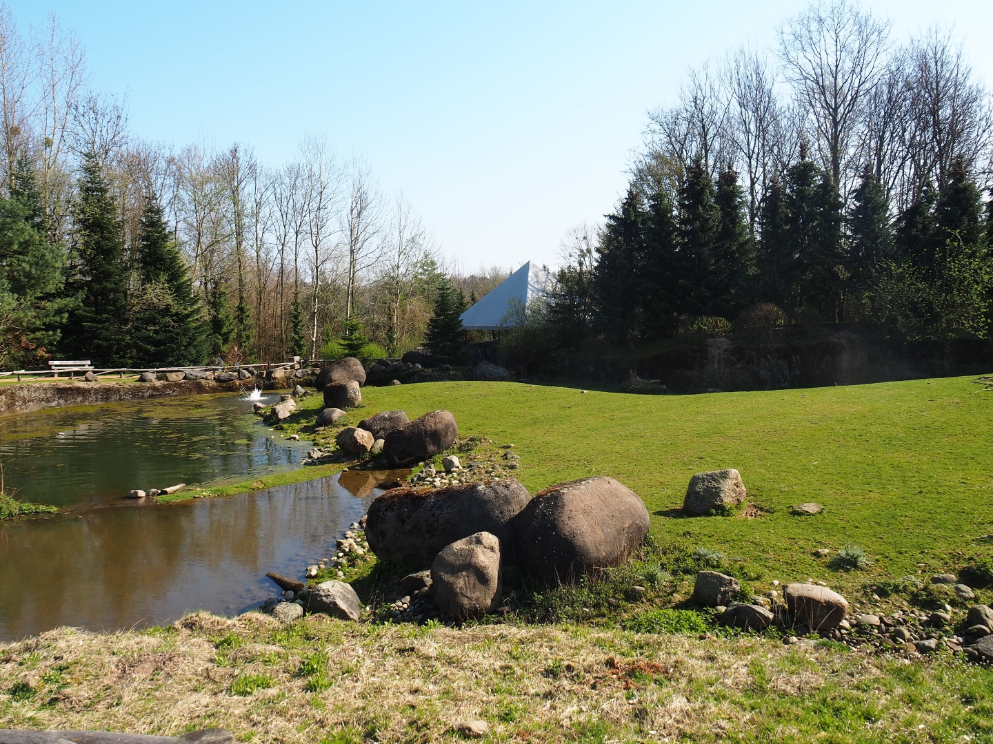 Musk ox exhibit, 2019-03-30