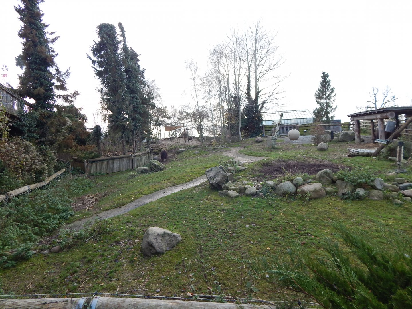 Musk-ox exhibit 261124