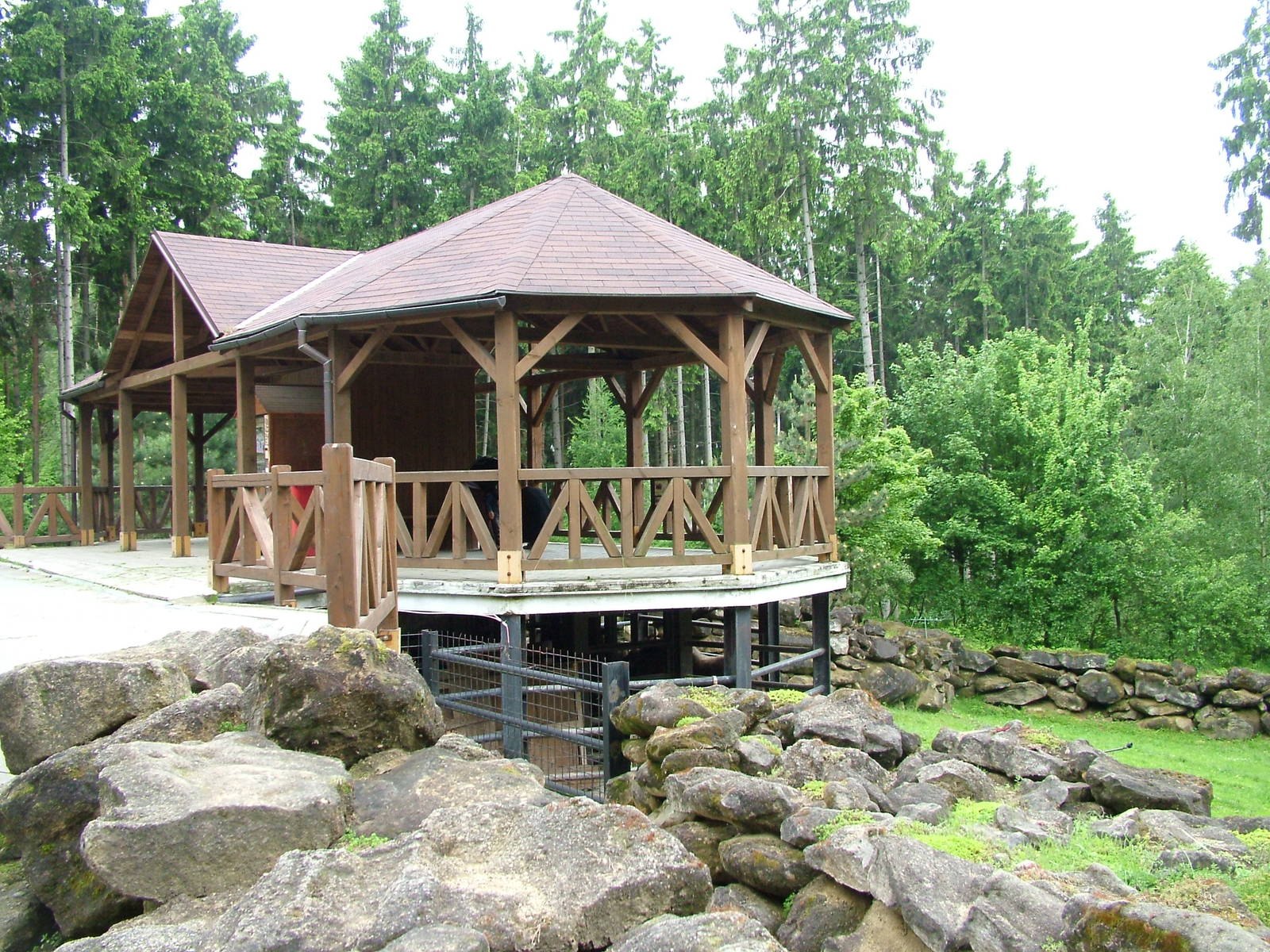Musk Ox exhibit at Olomouc 30/05/10