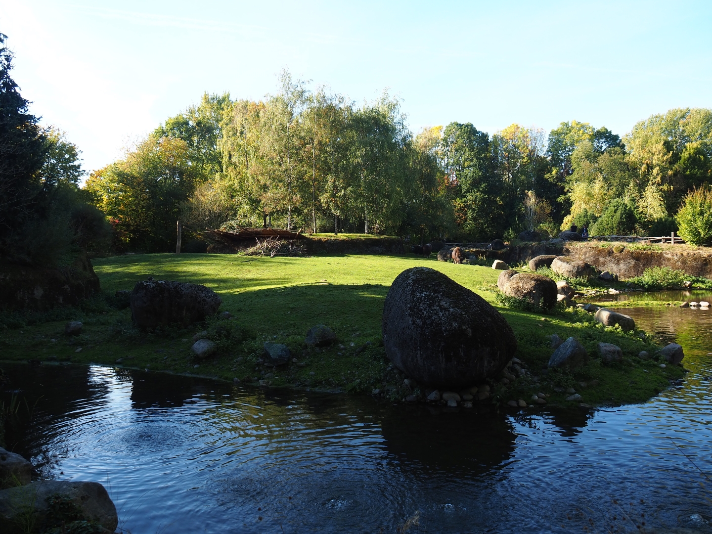 Musk ox exhibit (Oct 13th, 2018)