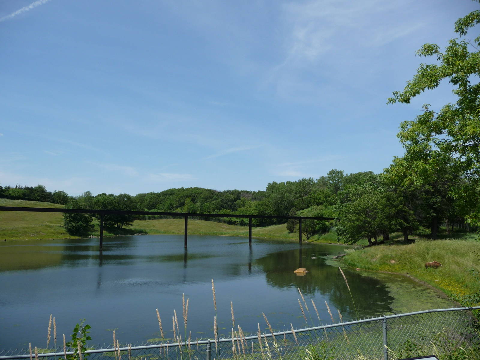 Musk Ox Exhibit, Part I - Minnesota Zoo