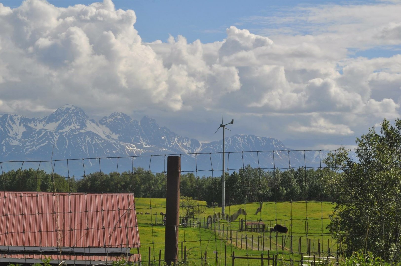 Musk Ox Farm from the roadway