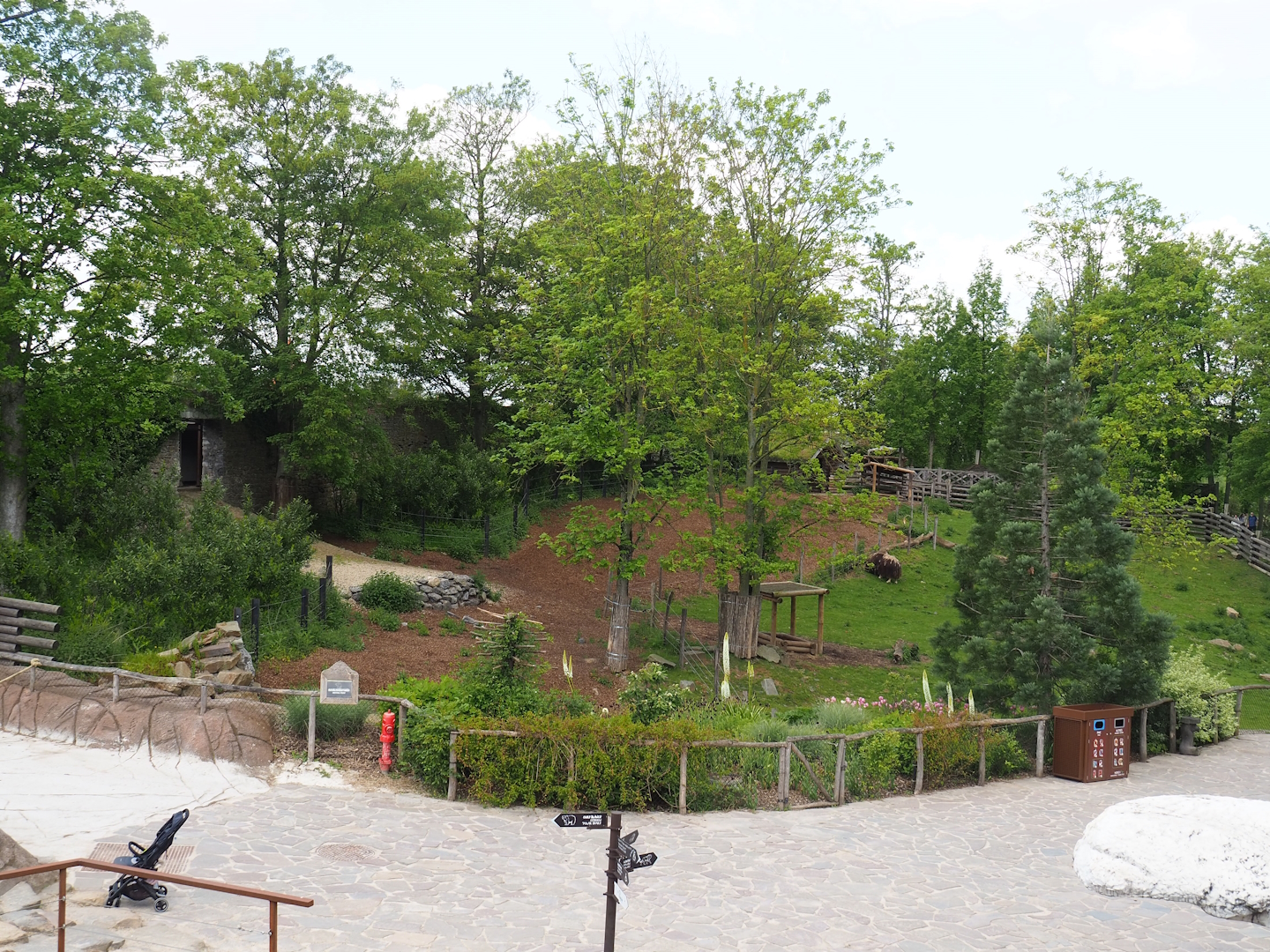 Musk ox paddock, 2023-05-16