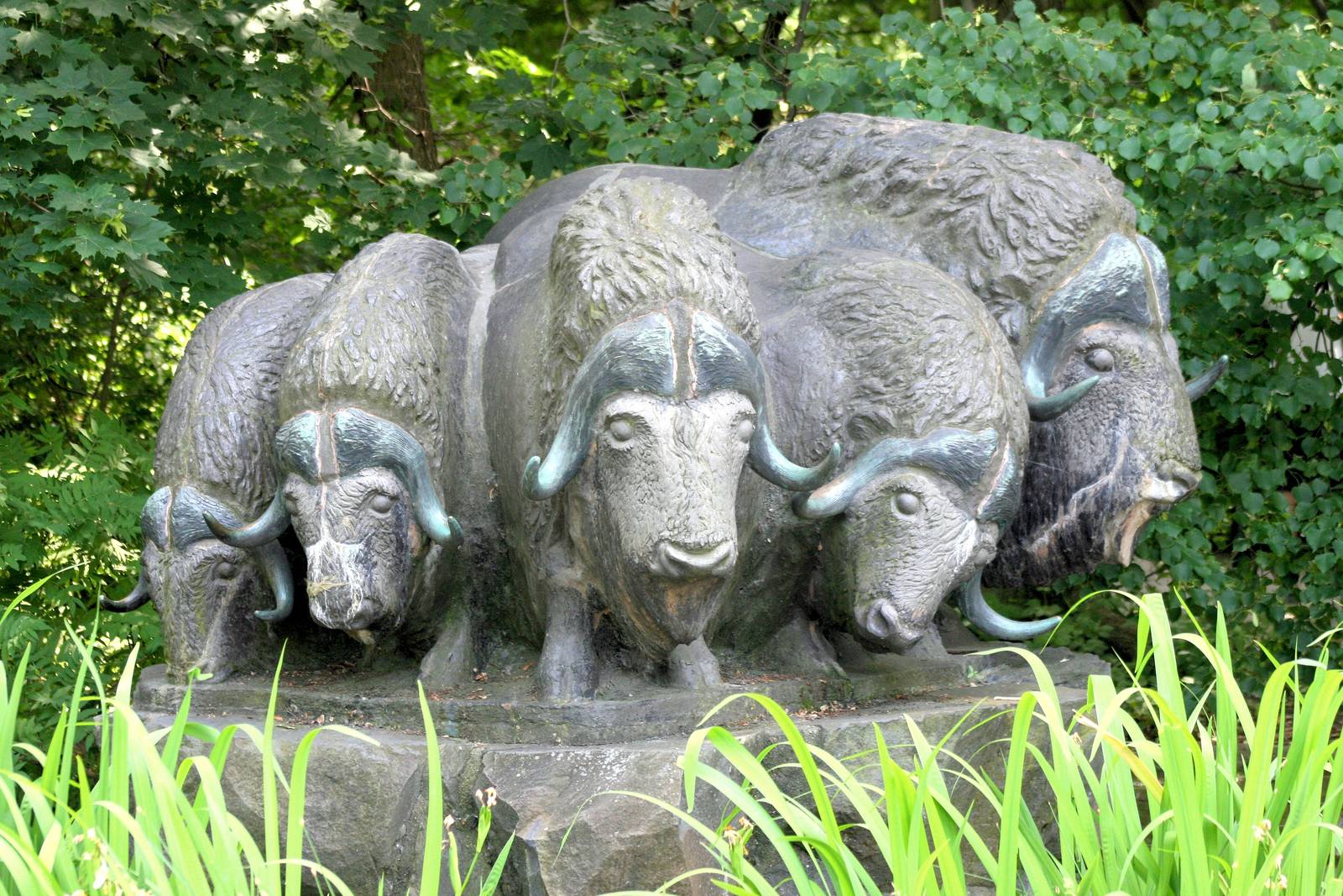 Musk-ox statue; Berlin Tierpark; 9th June 2014