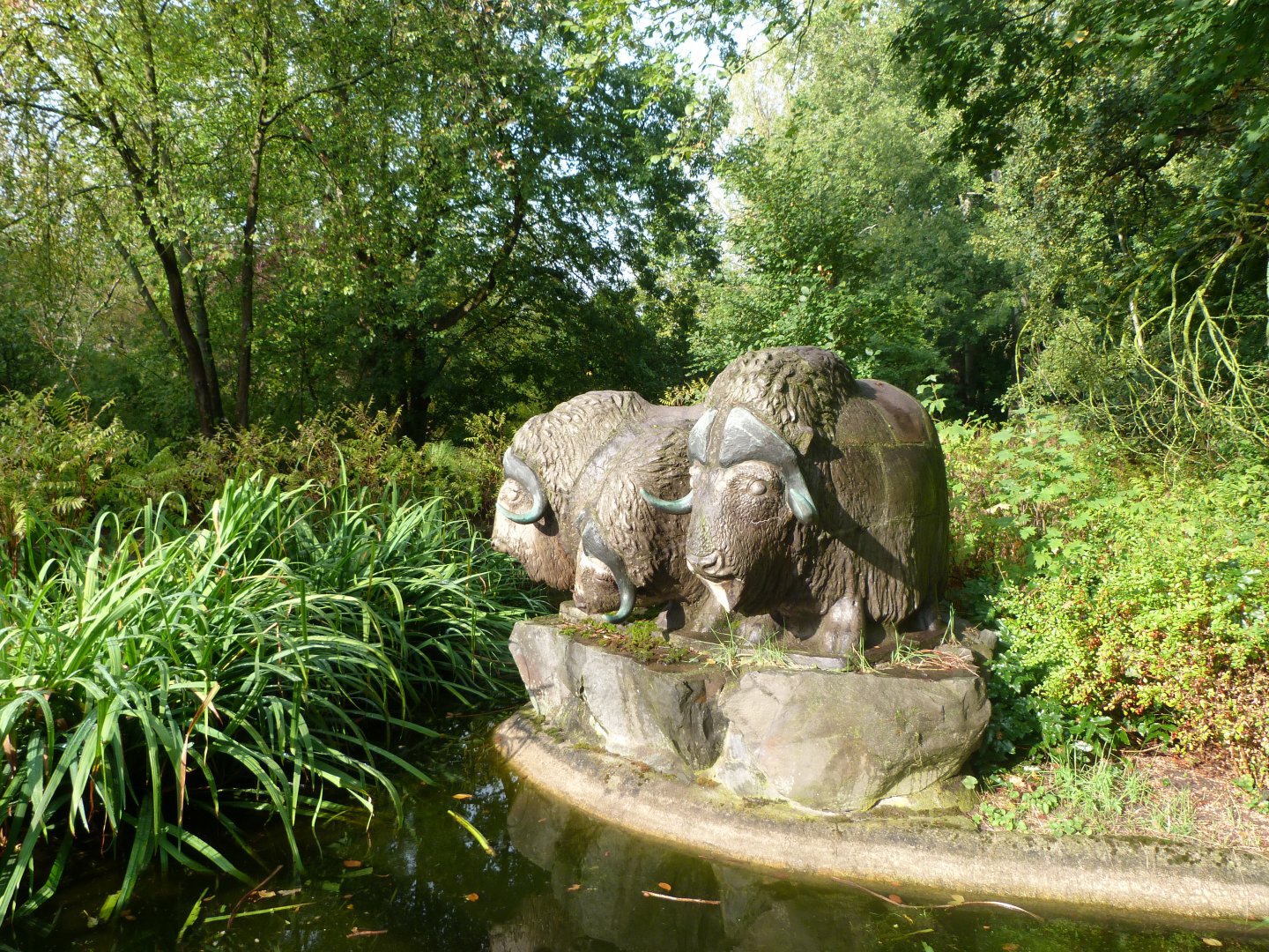 Musk ox statue -Tierpark Berlin (2024)