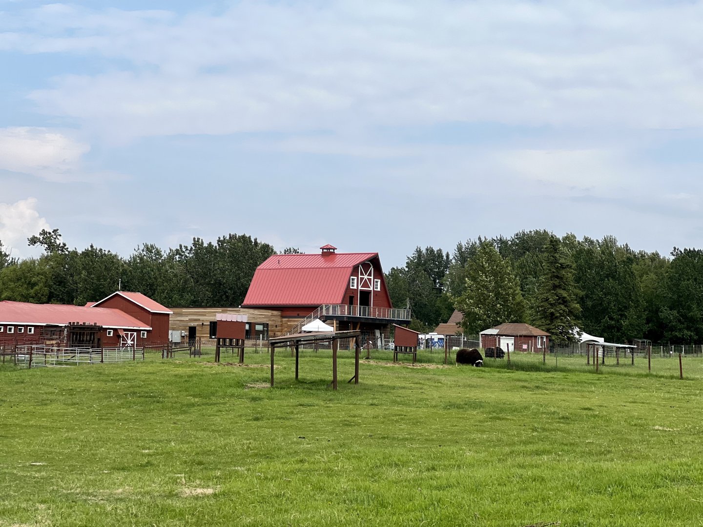 Muskox Barn Area