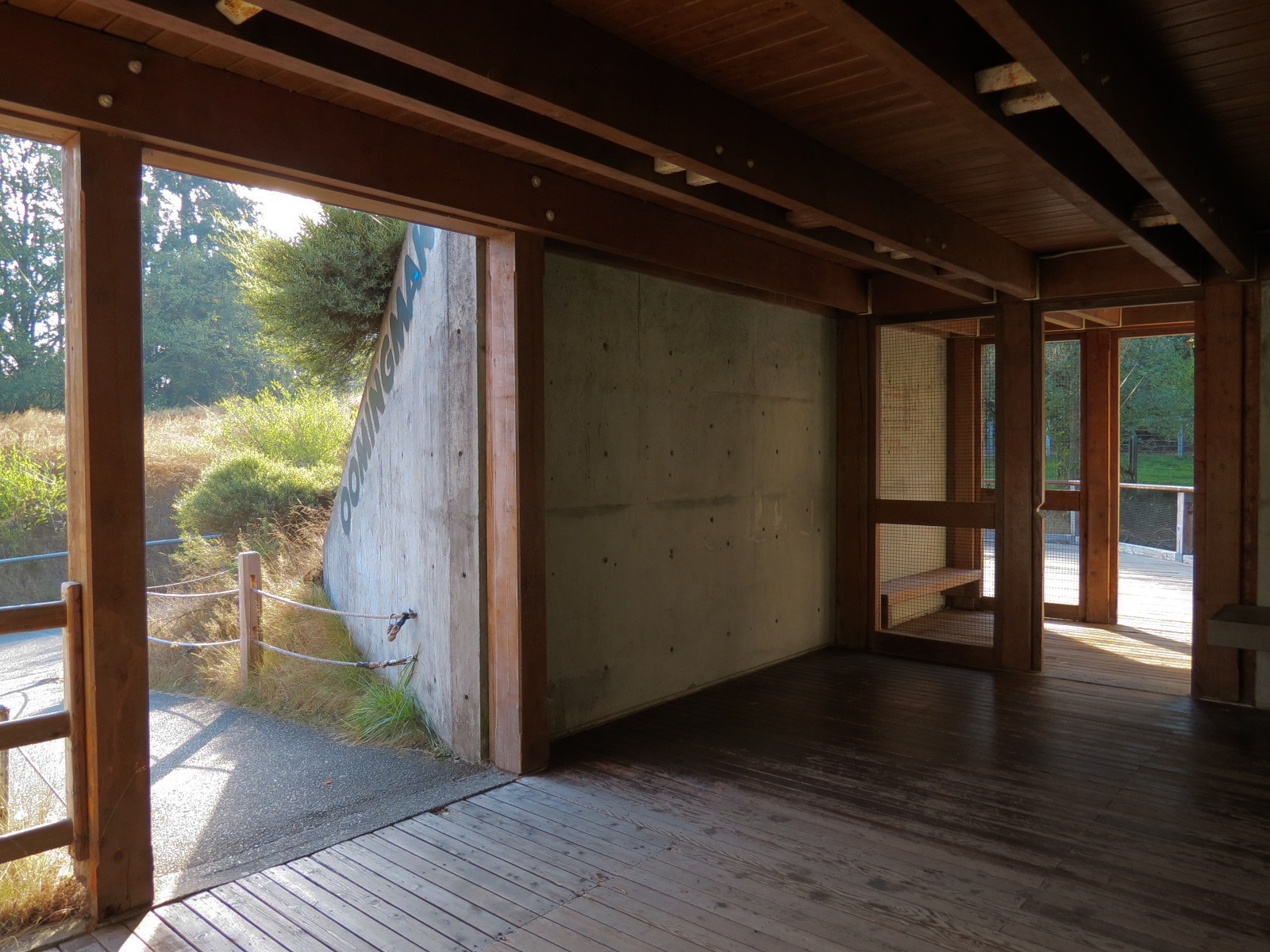 Muskox Exhibit 1 - Viewing Area