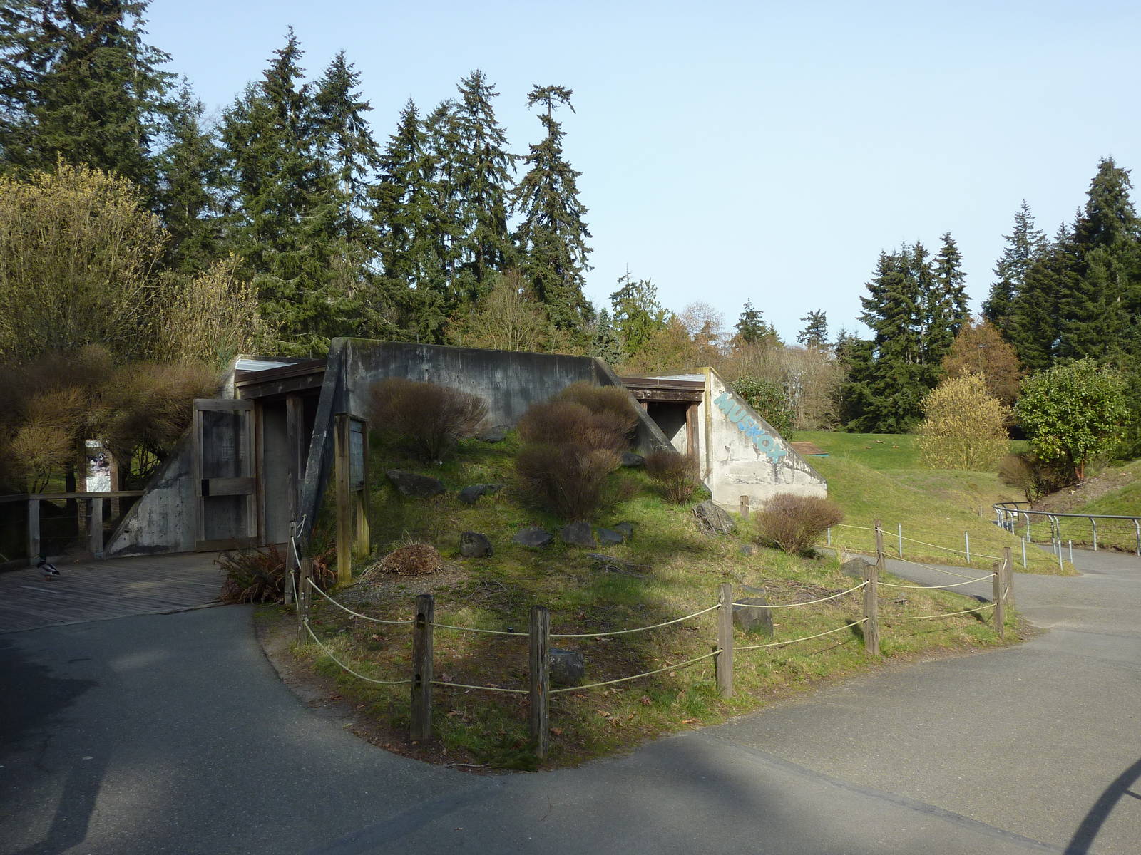 Muskox Exhibit - Entrance