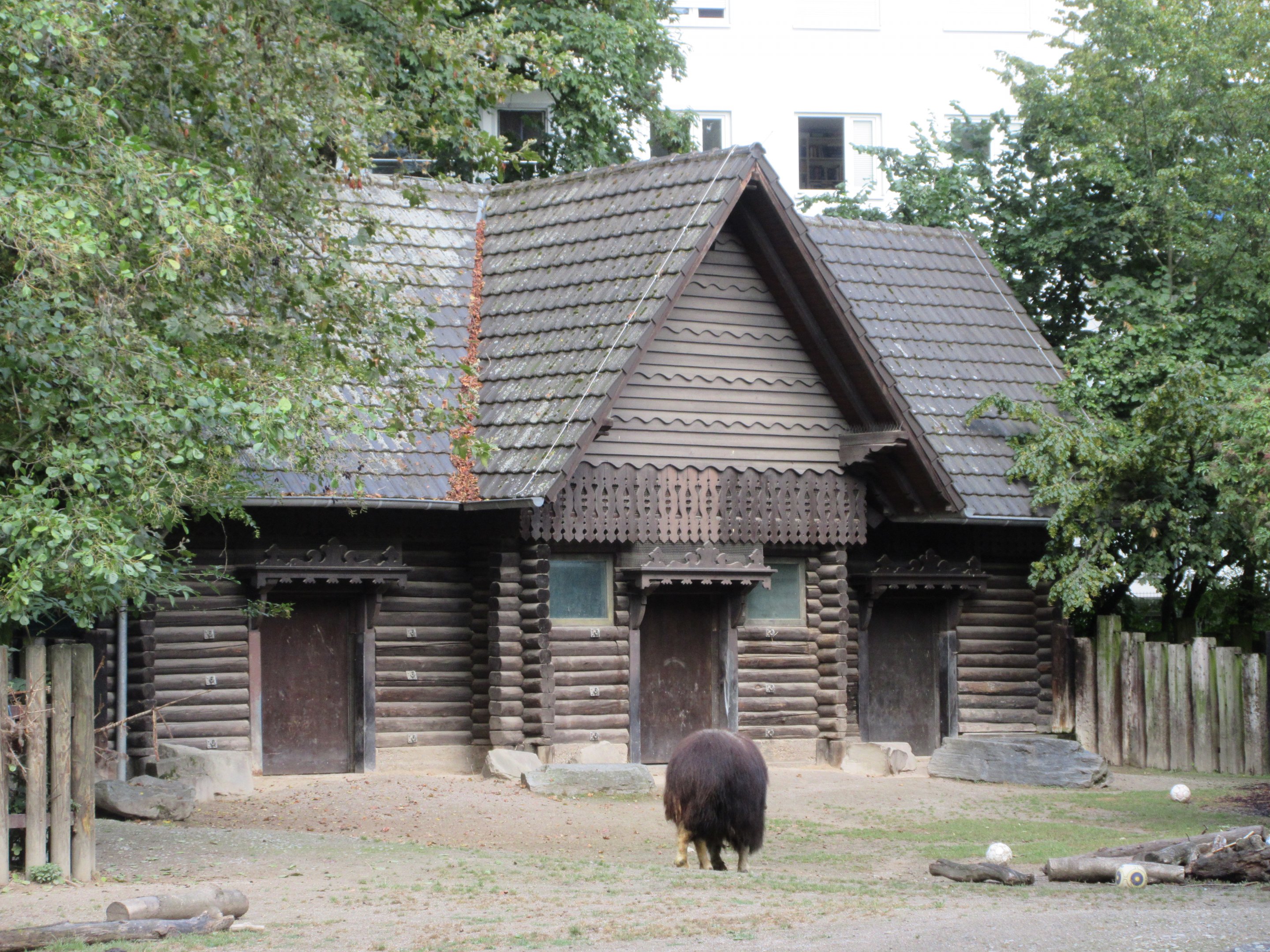 Muskox House