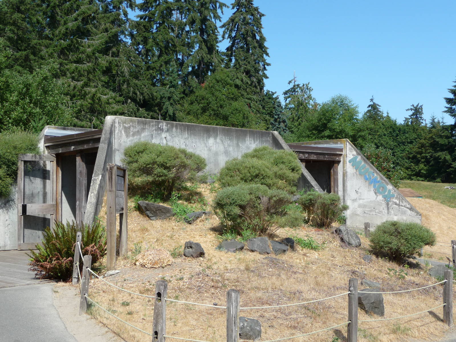 Muskox Viewing Shelter