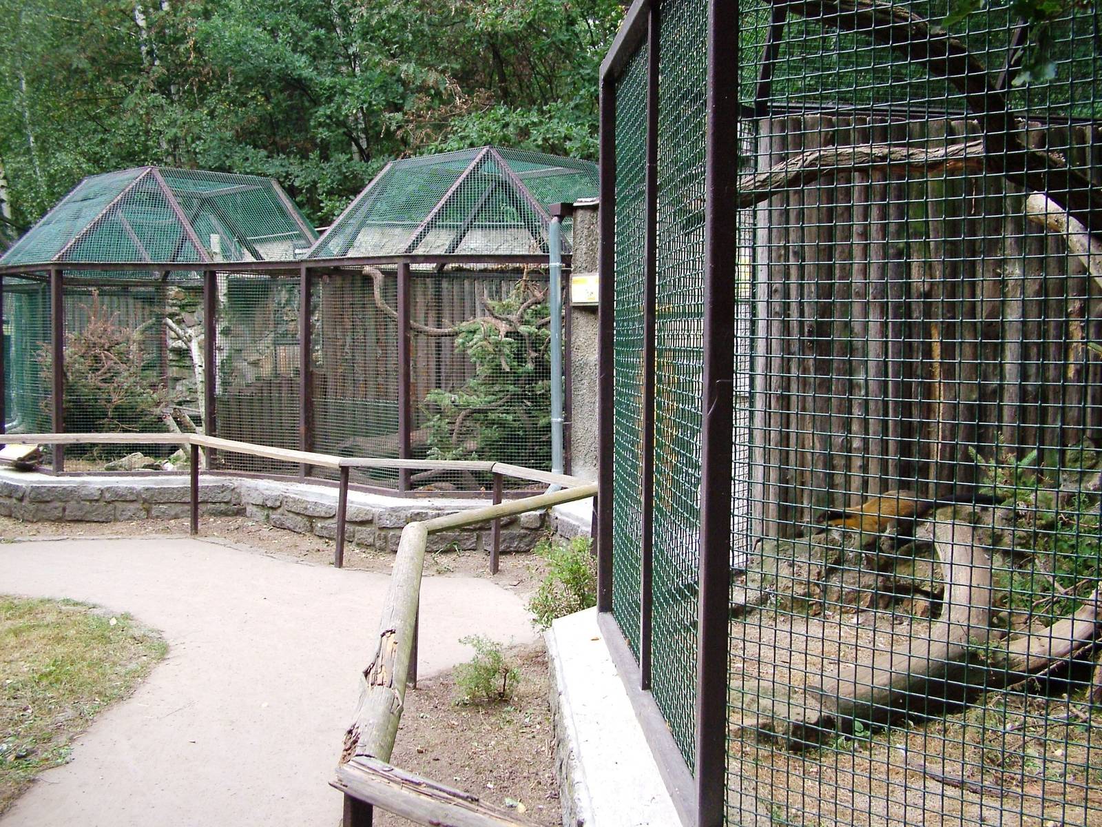 Mustelid Exhibits at Chomutov, 30/08/12