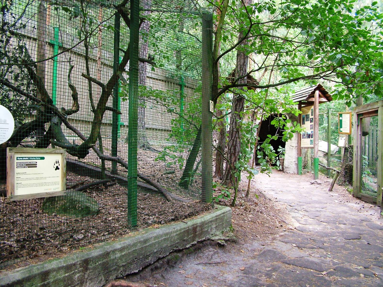 Mustelid Exhibits at Decin, 28/08/12