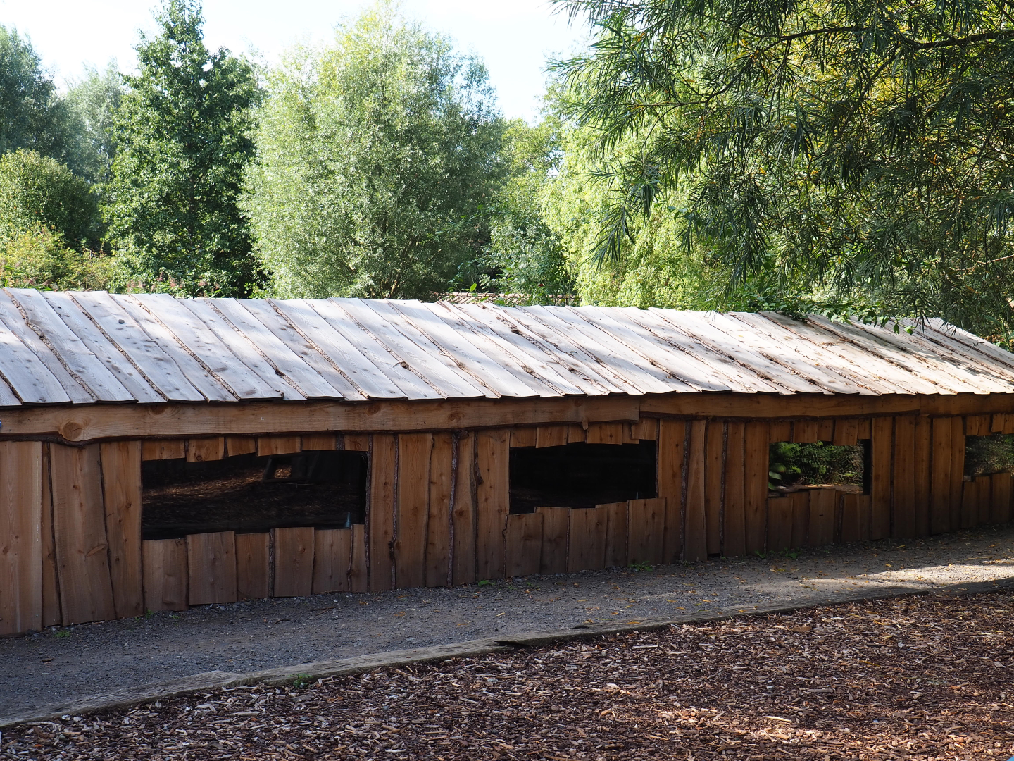 Mute swan barn, 2020-09-12