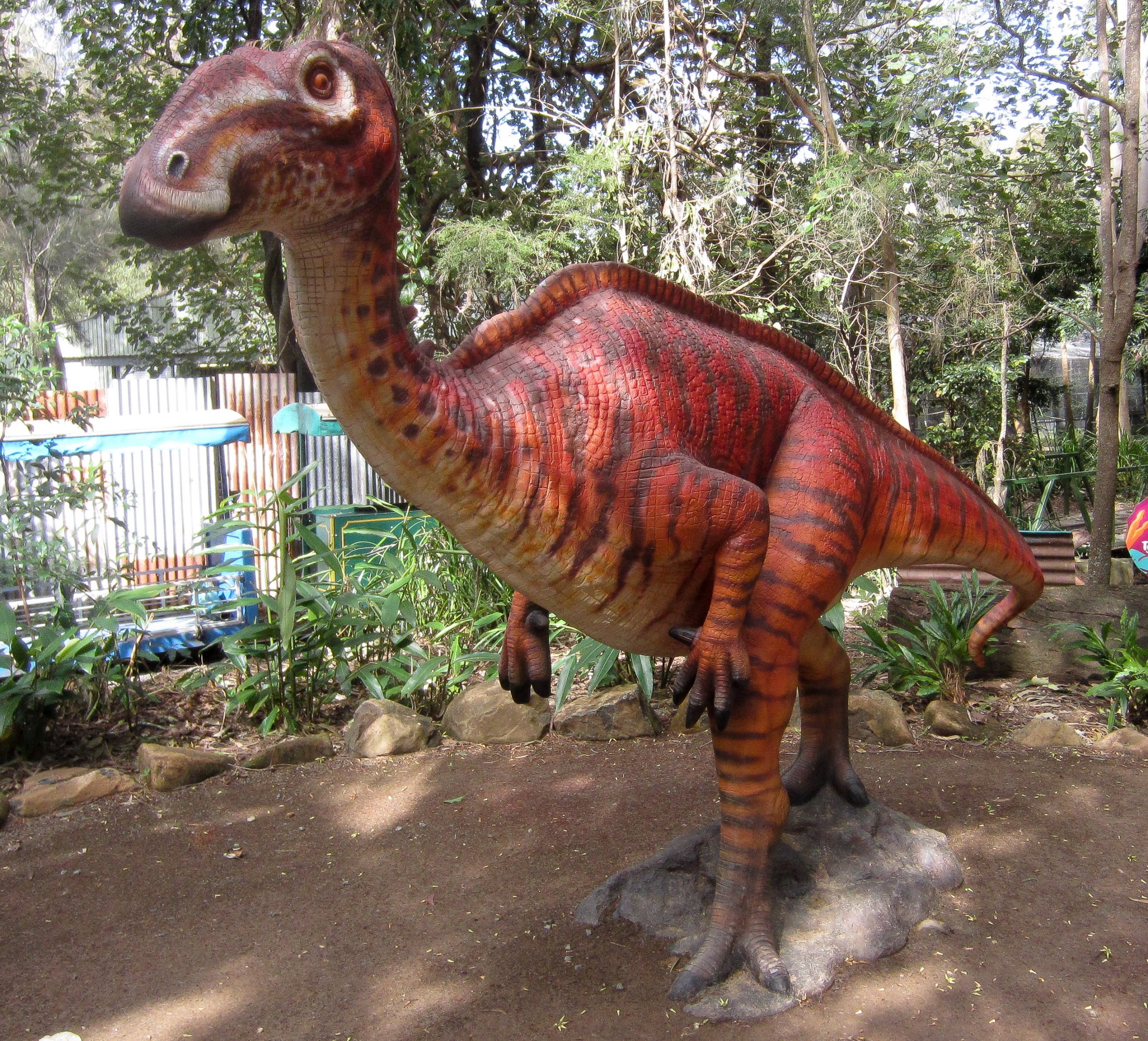 Muttaburrasaurus