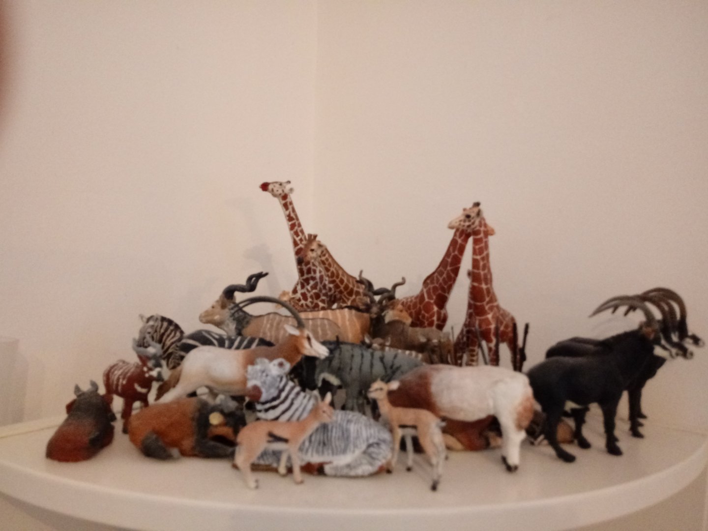 My African hoofstock collection