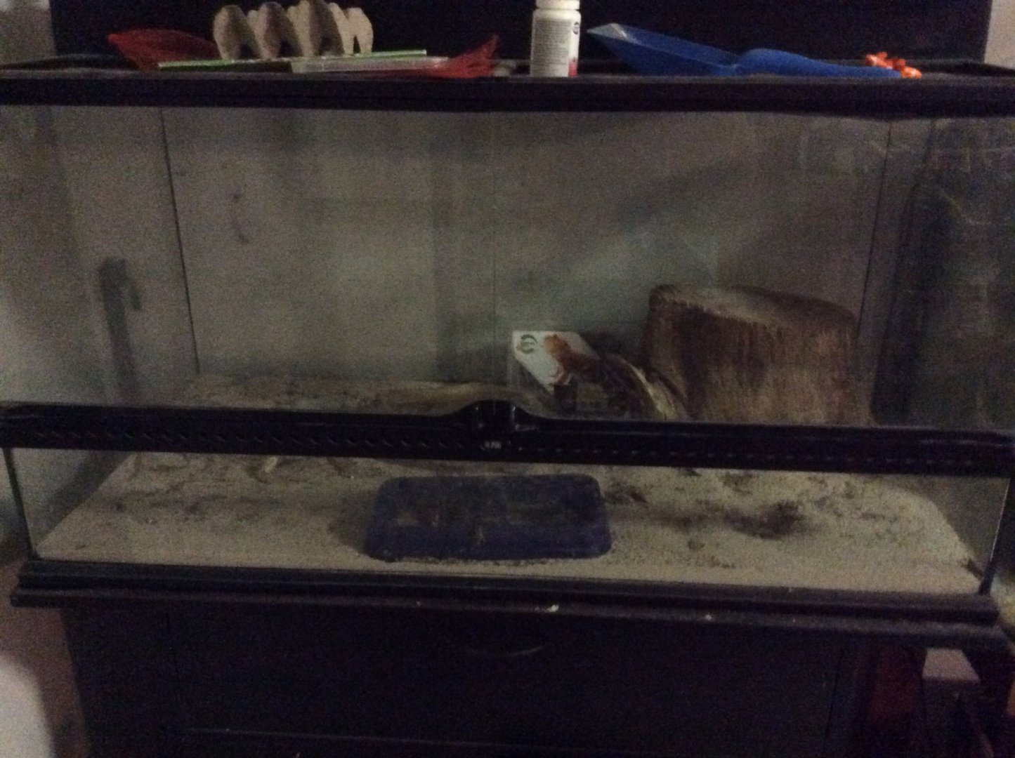 My bearded dragons enclosure
