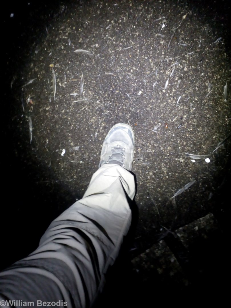 My Boot Slowly Sinking into Bat Guano