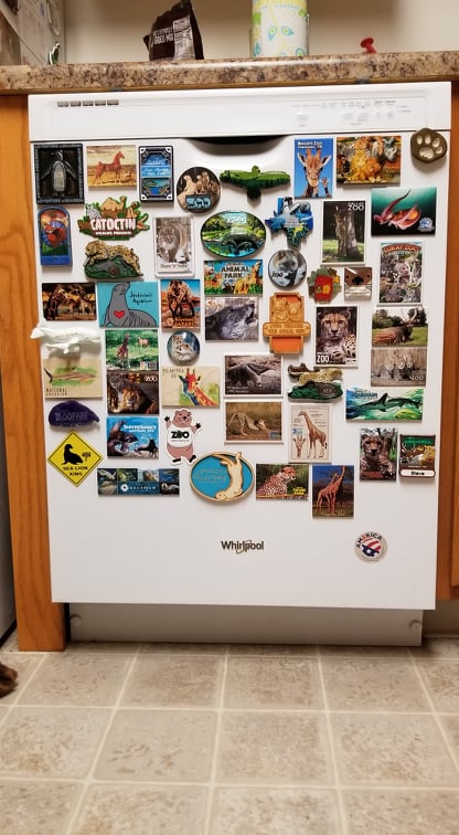 My dishwasher, before the puppy started eating magnets