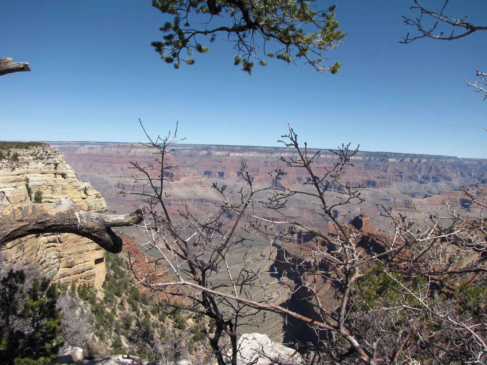 My Family Grand Canyon Trip