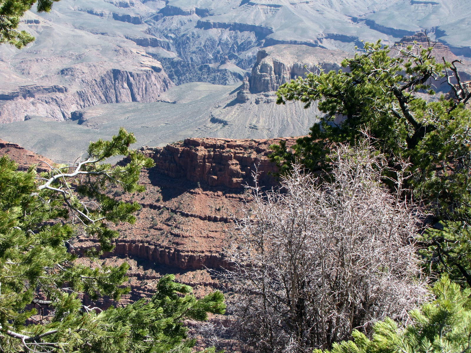 My Family Grand Canyon Trip