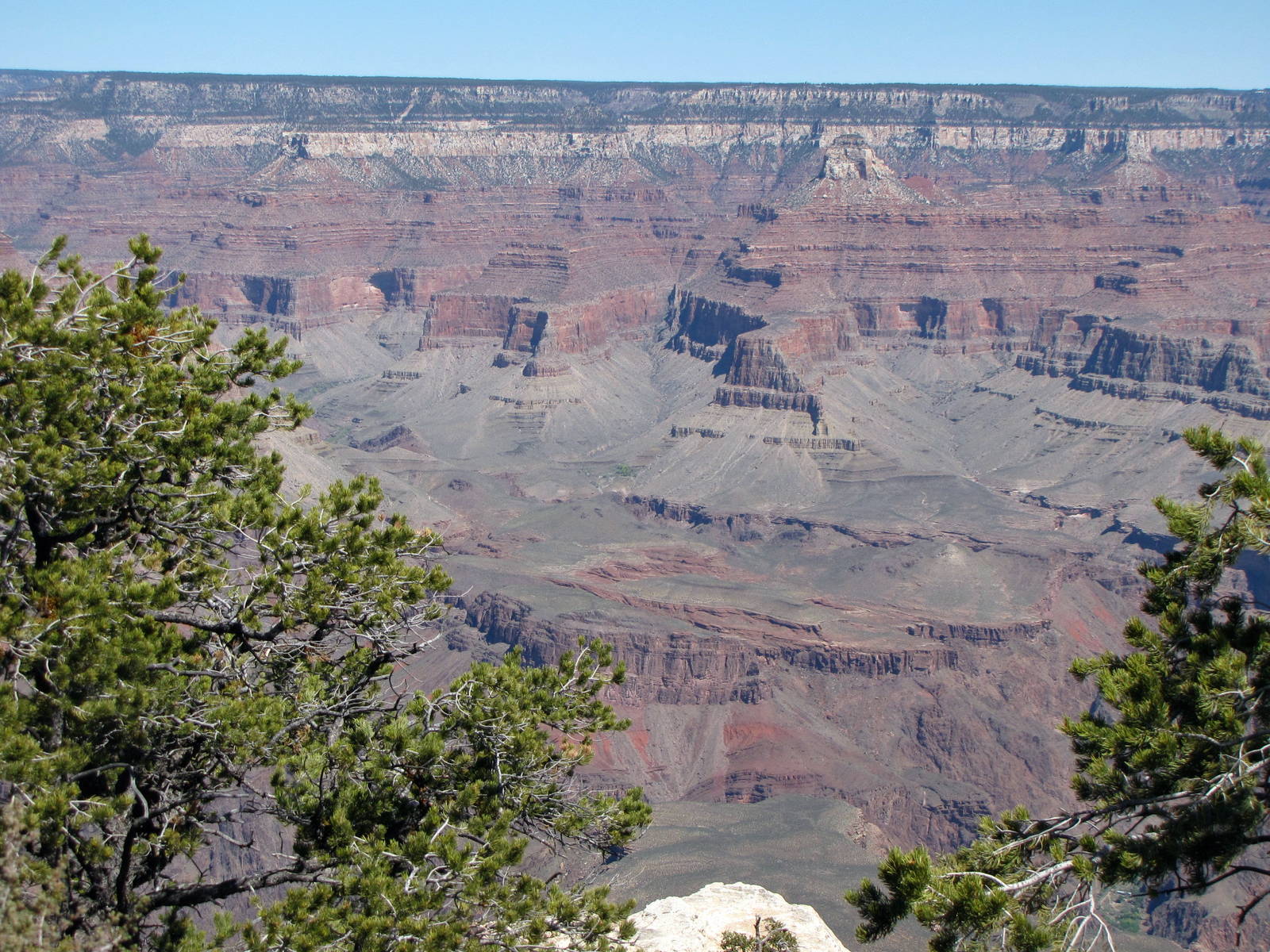 My Family Grand Canyon Trip