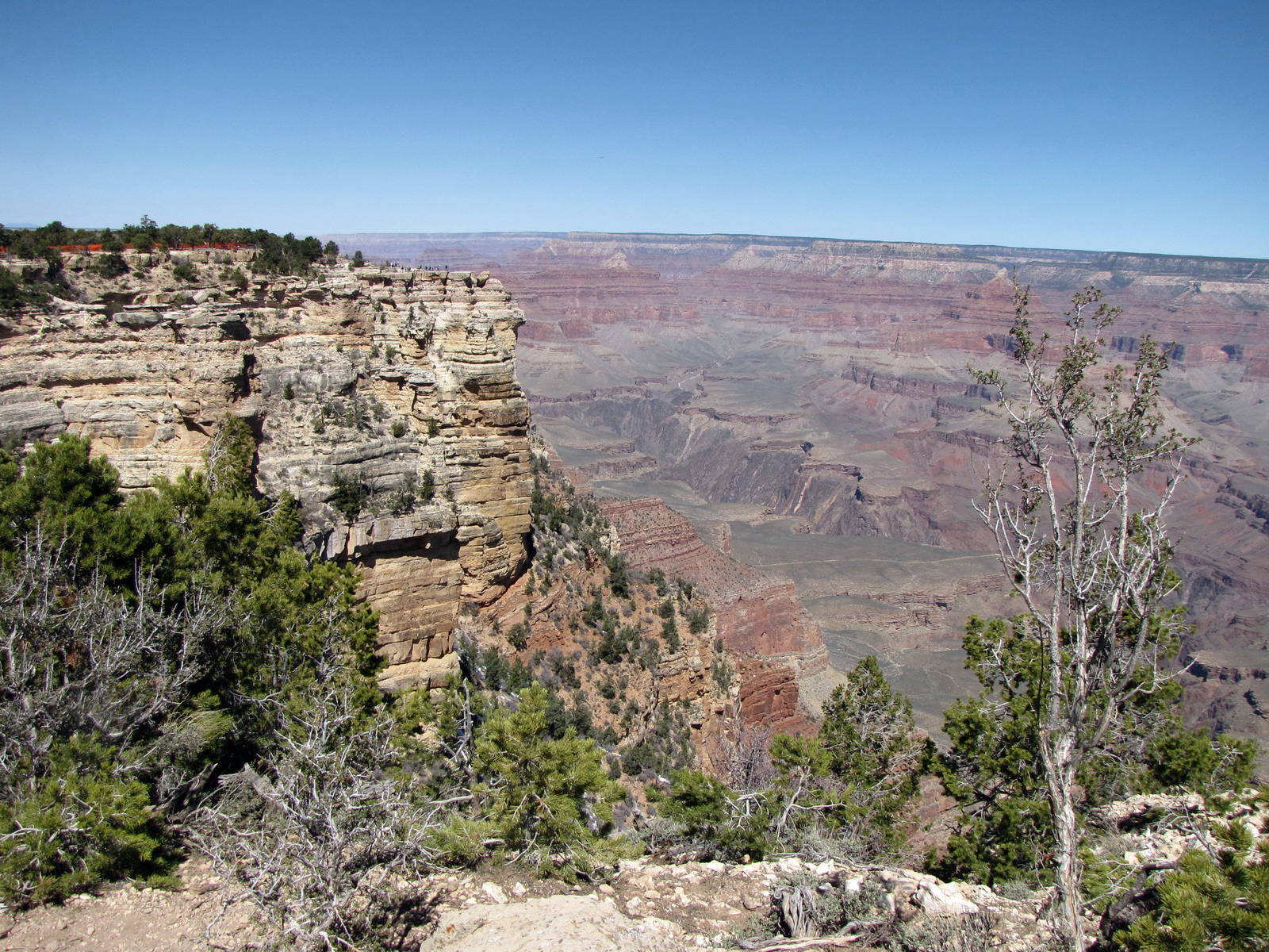 My Family Grand Canyon Trip