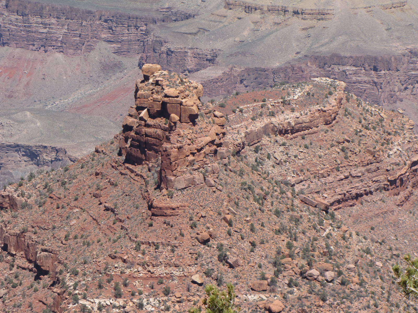 My Family Grand Canyon Trip