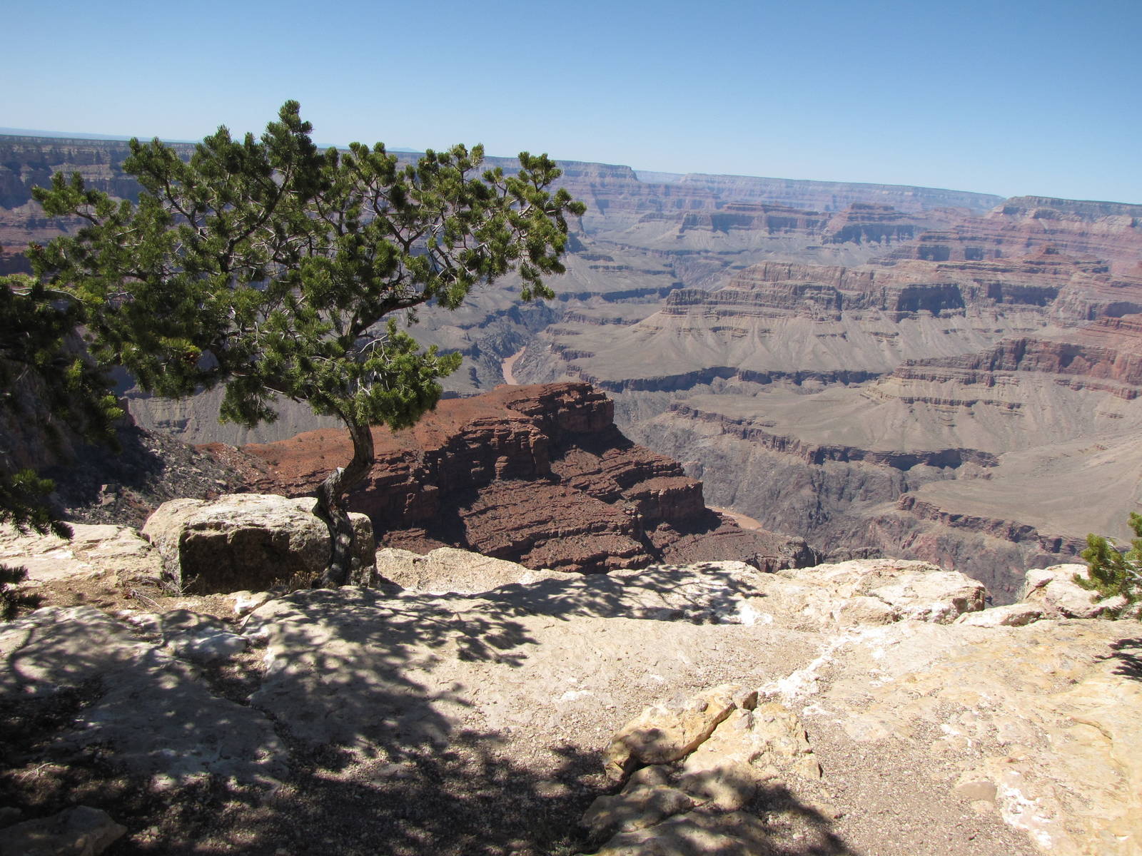 My Family Grand Canyon Trip