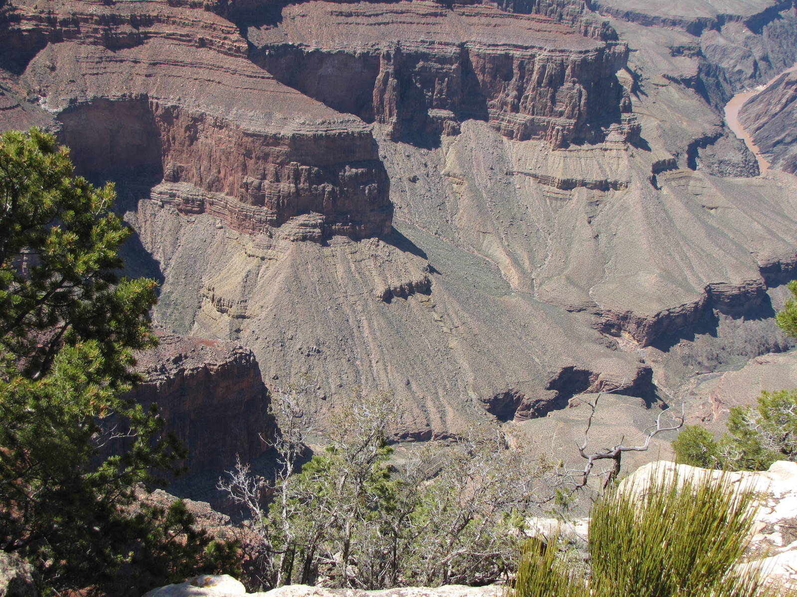 My Family Grand Canyon Trip