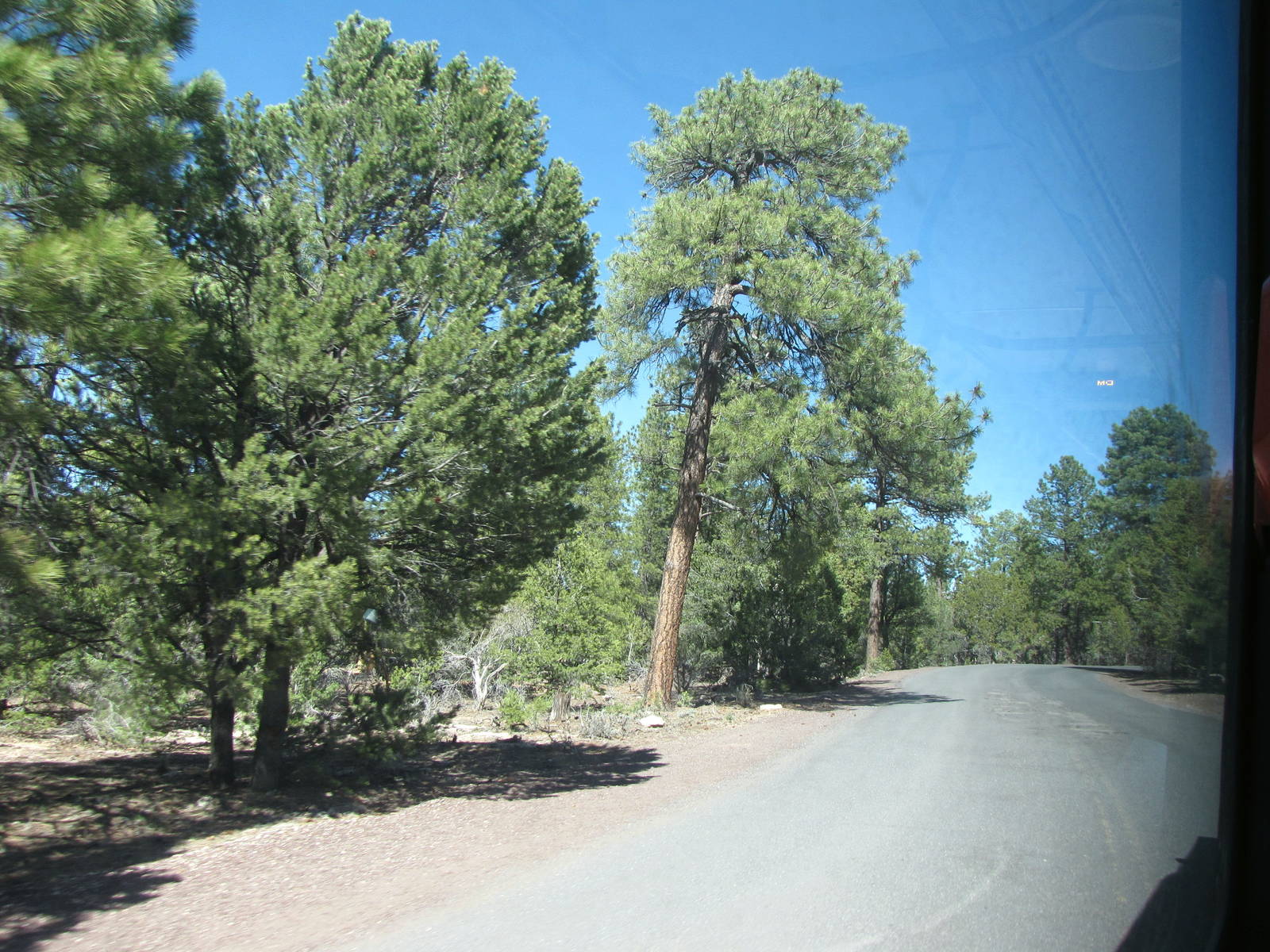 My Family Grand Canyon Trip