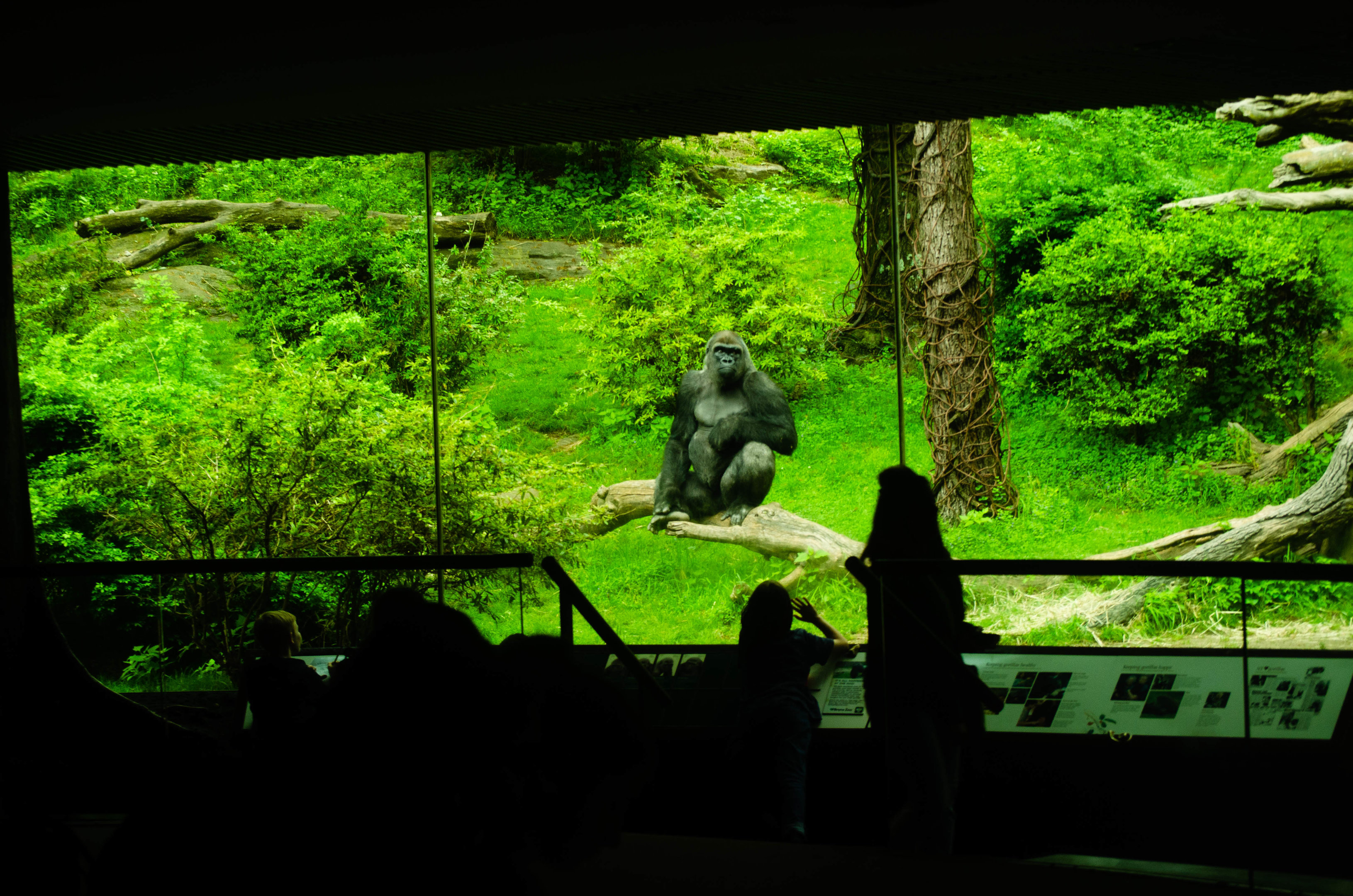 My favorite picture I shot that day