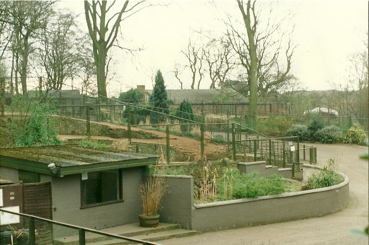 My favourite area of the zoo 5th April 1997