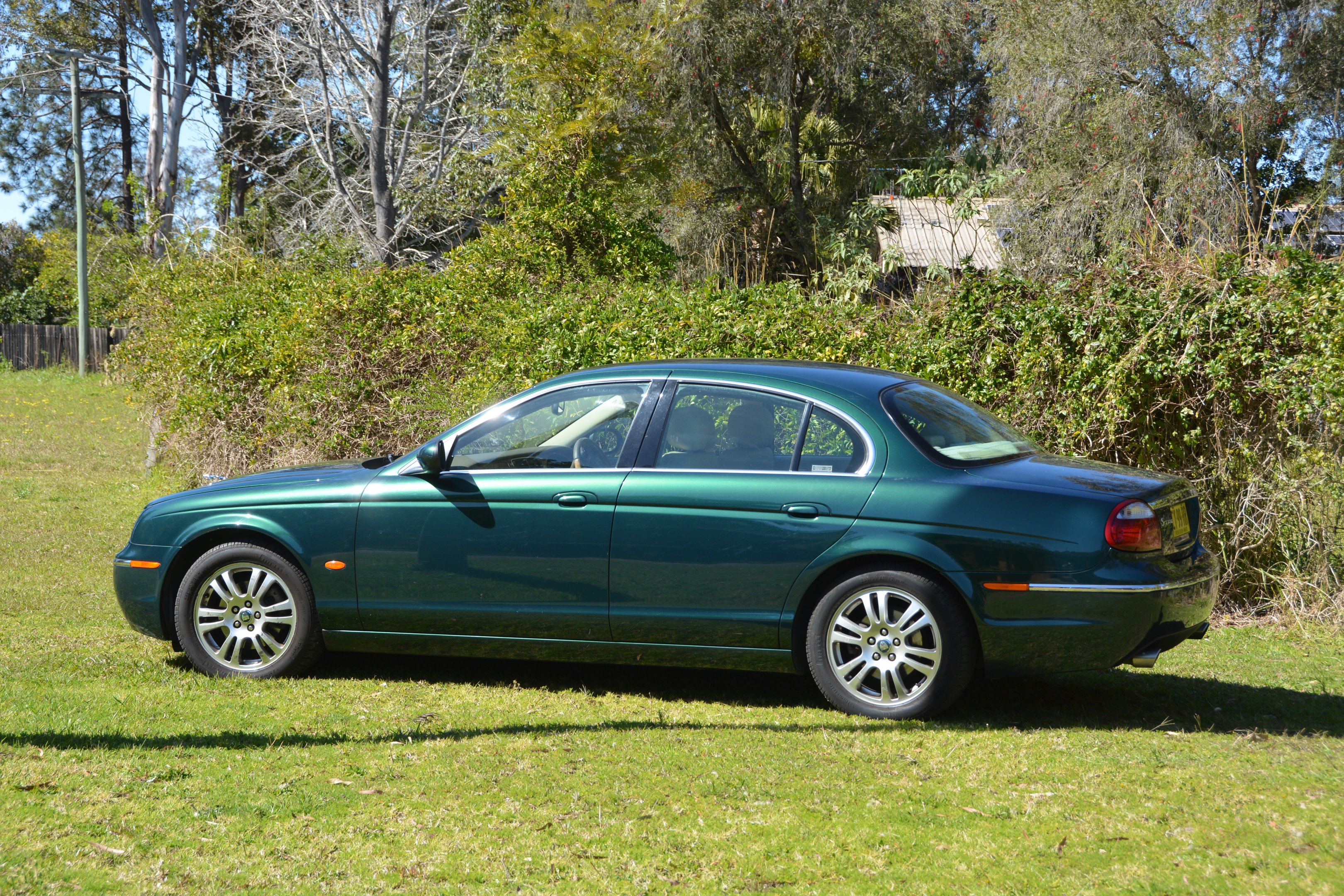 My favourite Jaguar!