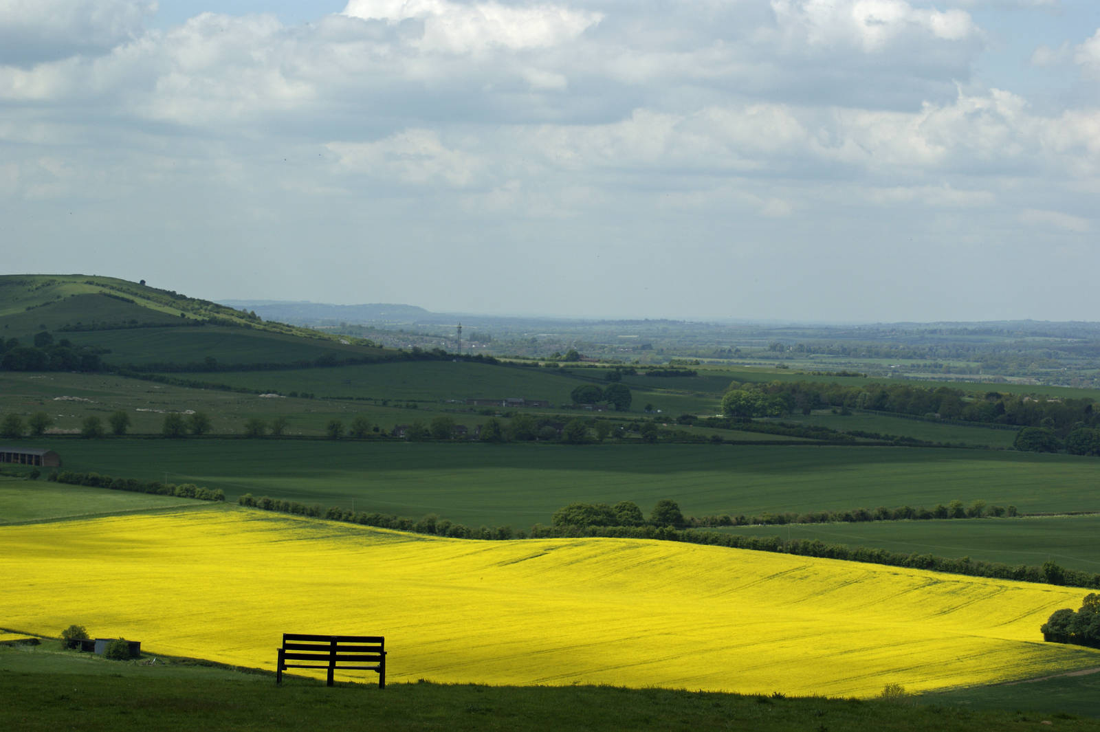 My favourite picnic spot o)