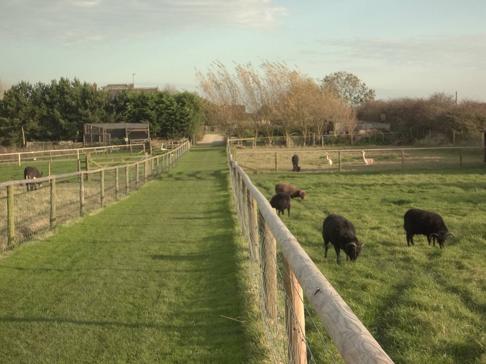 My final paddocks potter of 2014 nearly over, 23rd October 2014