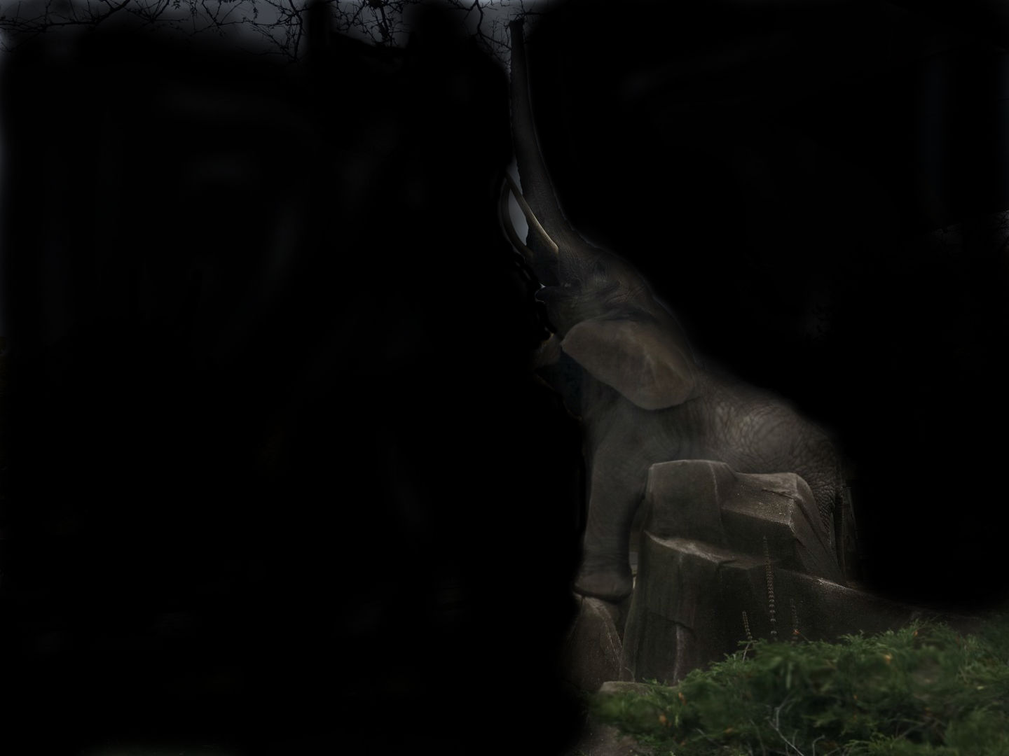 My First Photo Editing Attempt