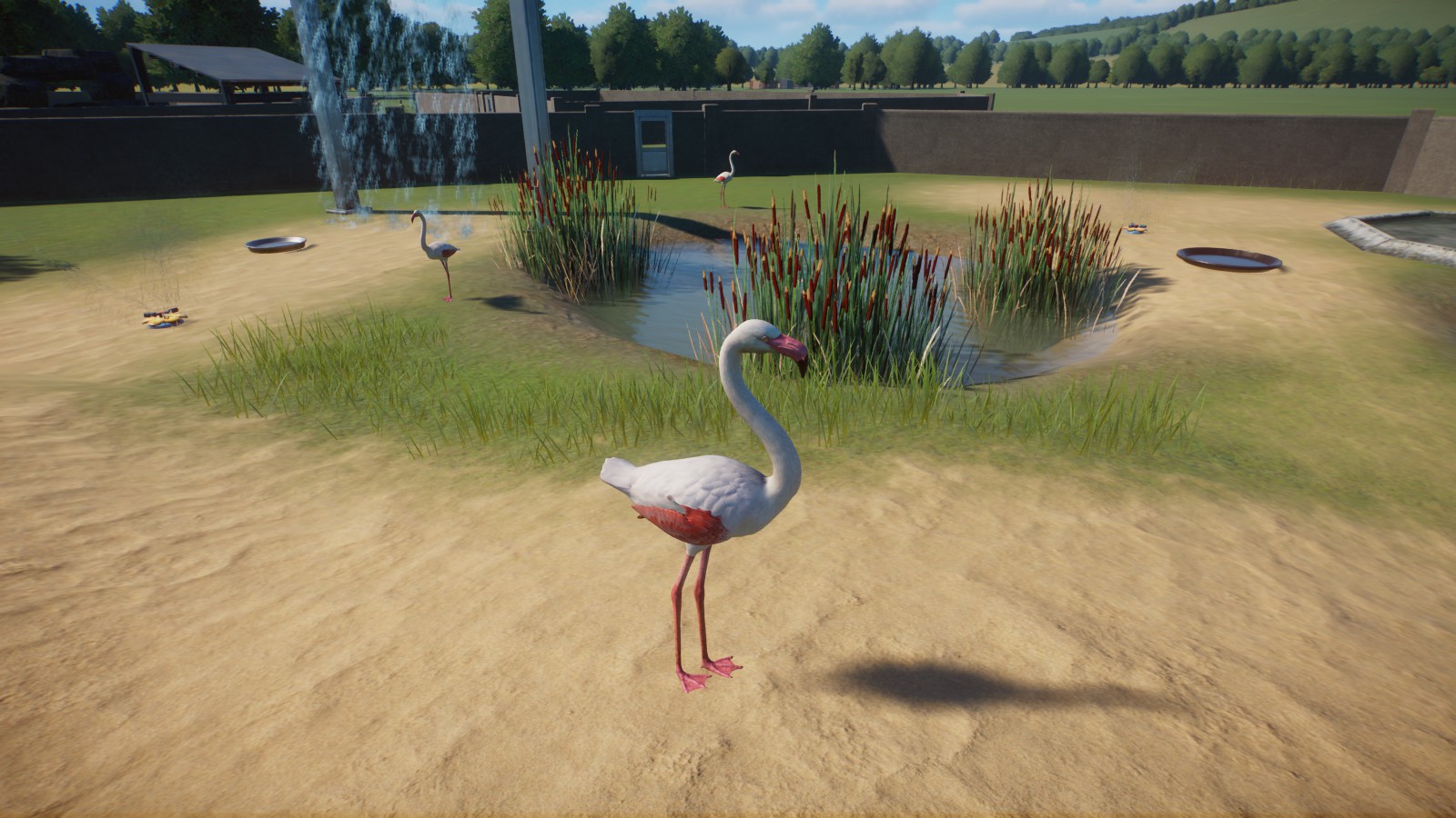 My first Planet Zoo Flamingo Enclosure