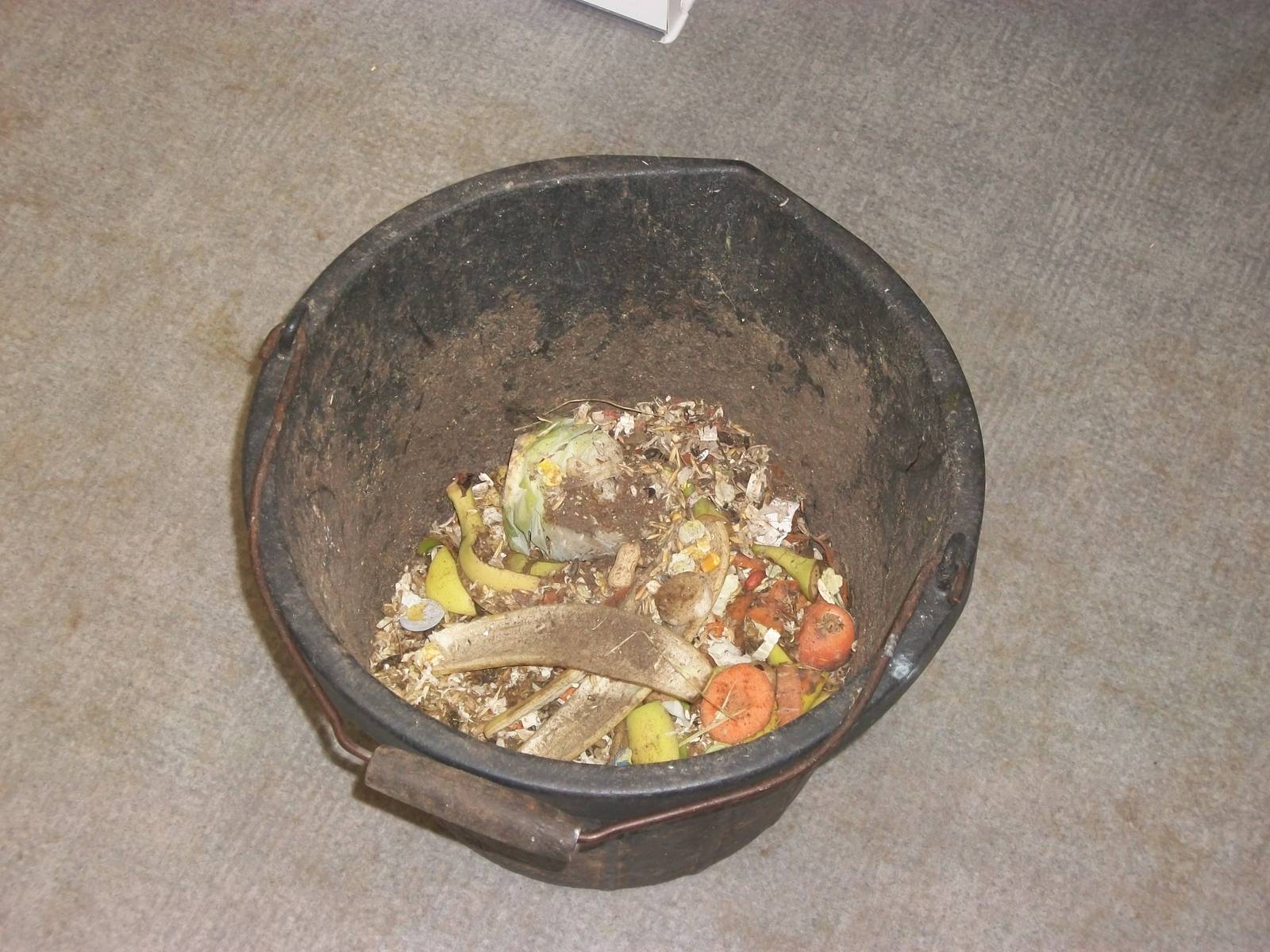 My first sweeping of the redecorated zoo kitchen, 19th September 2014