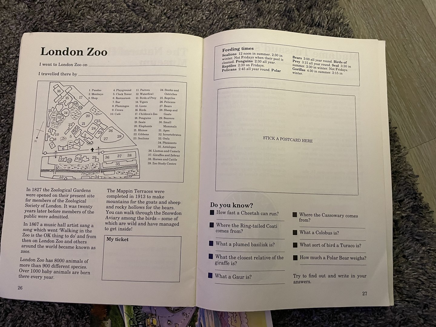 My first trip to London (1984) London Zoo page