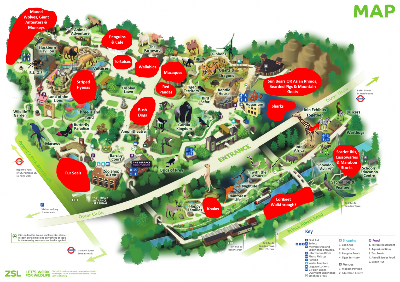 My Ideal London Zoo Map (2018)