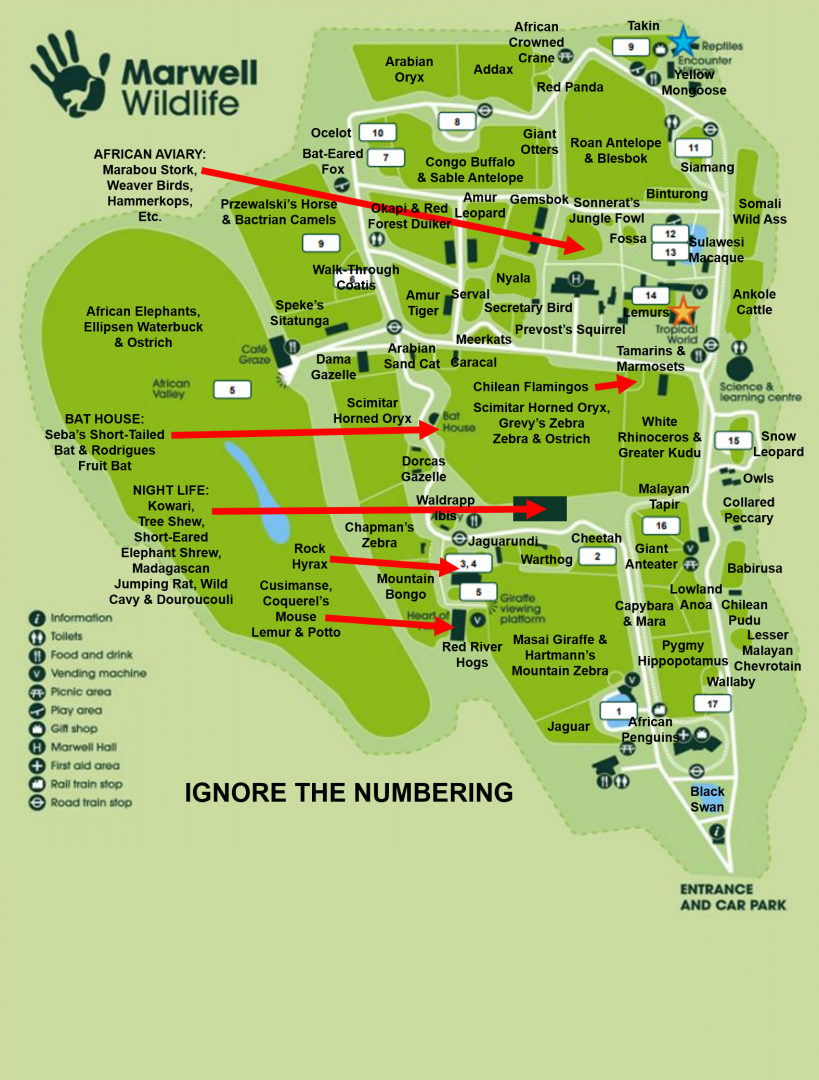 My Ideal Marwell Zoo Map