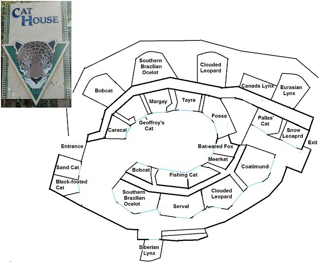 My Map of the old Cat House