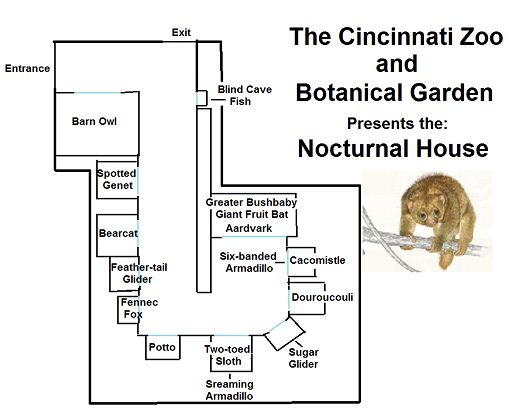 My Map of the old Nocturnal House