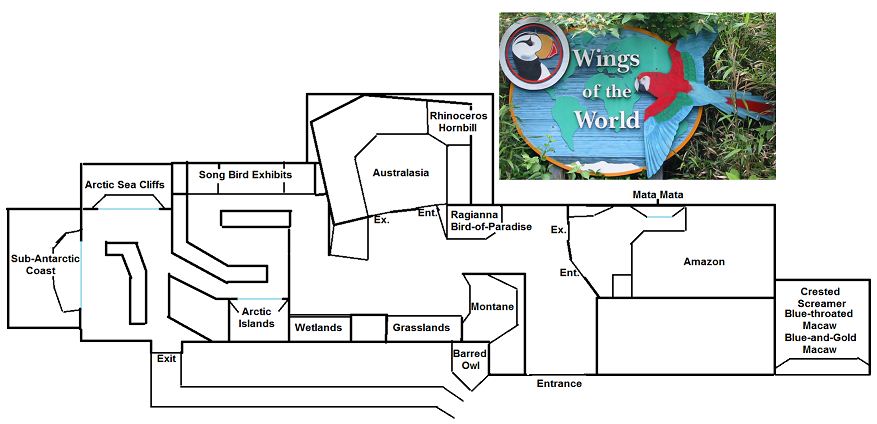 My Map of Wings of the World