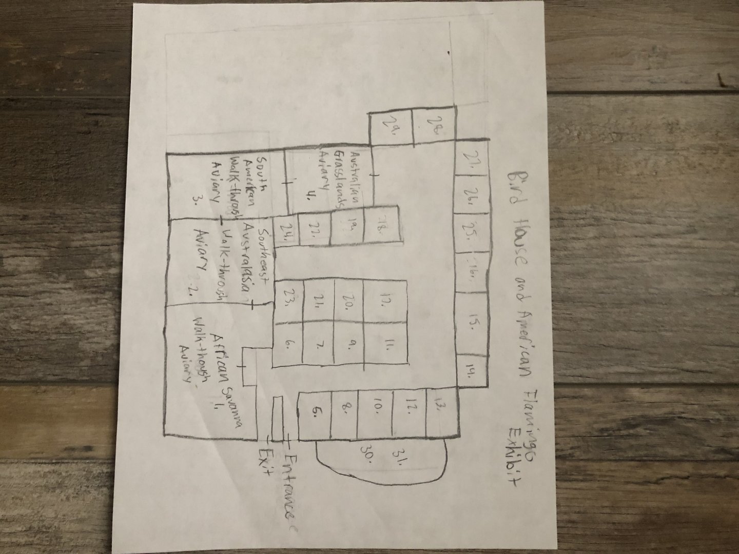 My Mega Fantasy Zoo Idea Bird House