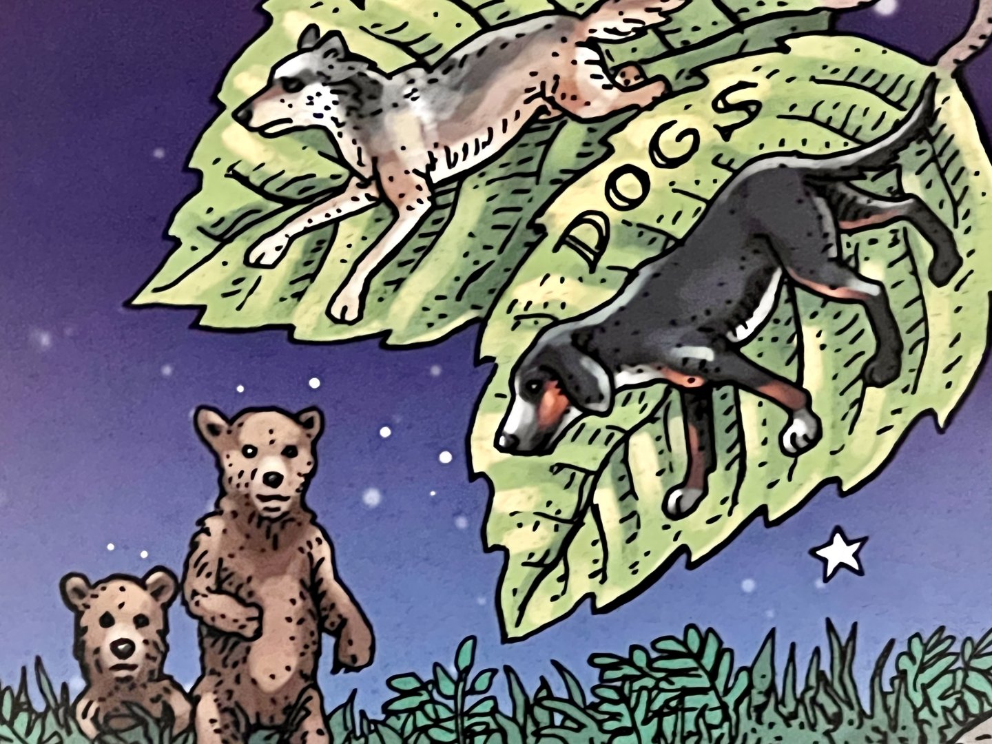 My Molly represents her tribe